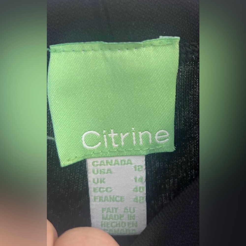 Citrine Black Swim Pants - Picture 4 of 5
